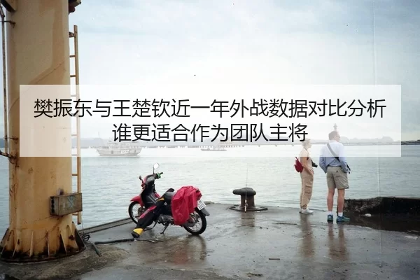 樊振东与王楚钦近一年外战数据对比分析谁更适合作为团队主将