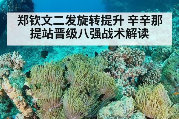 郑钦文二发旋转提升 辛辛那提站晋级八强战术解读